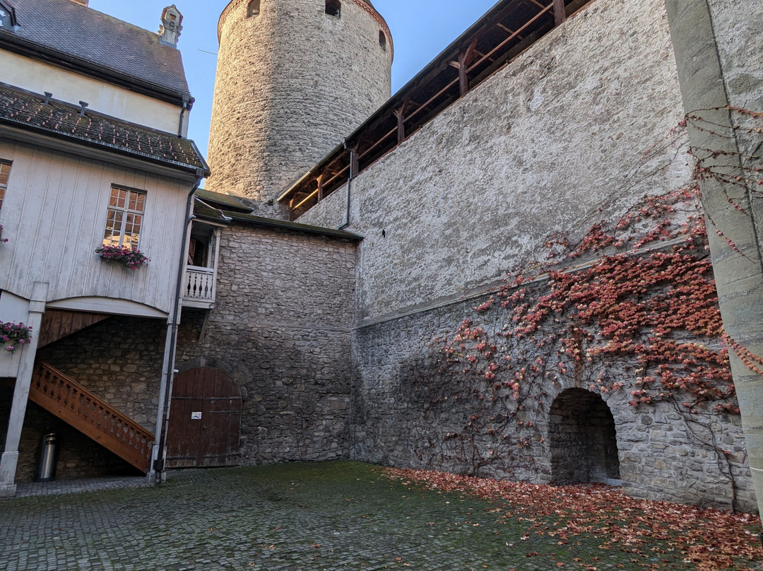Château de Bulle-比勒必去景点