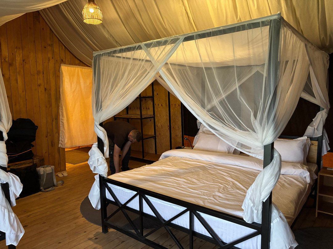 Glimpse of Africa Tented Camp-Ikoma必去景点