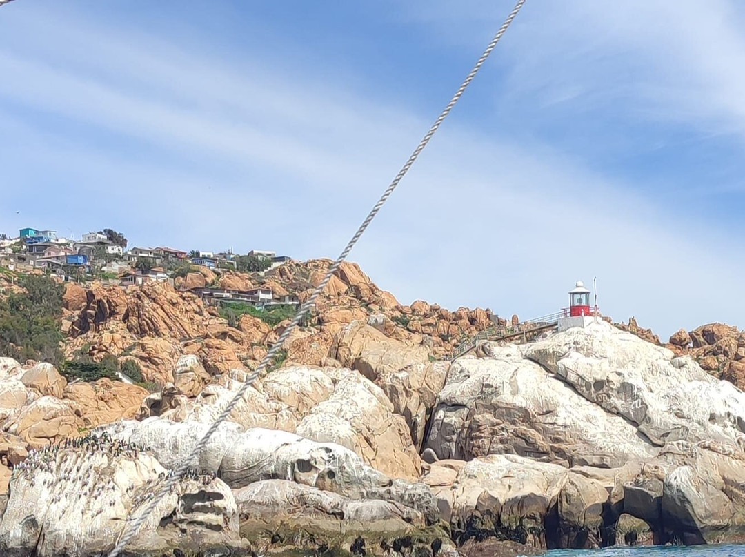 Faro Punta  Tortuga-Coquimbo必去景点