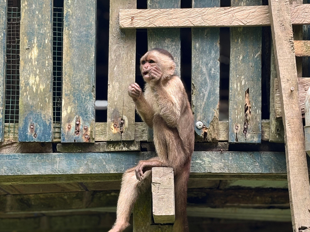 La luna del amazonas-伊基托斯必去景点