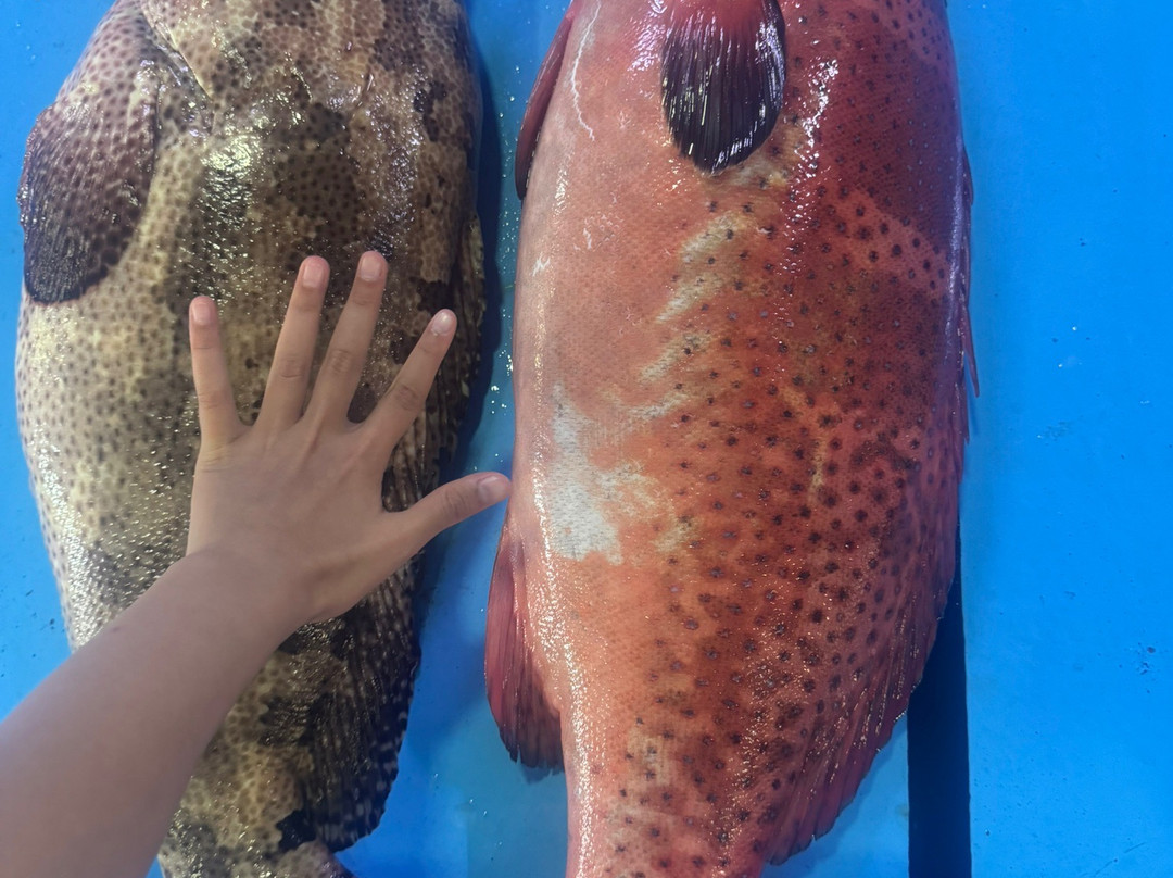 FollowMeToMaldives-马累必去景点