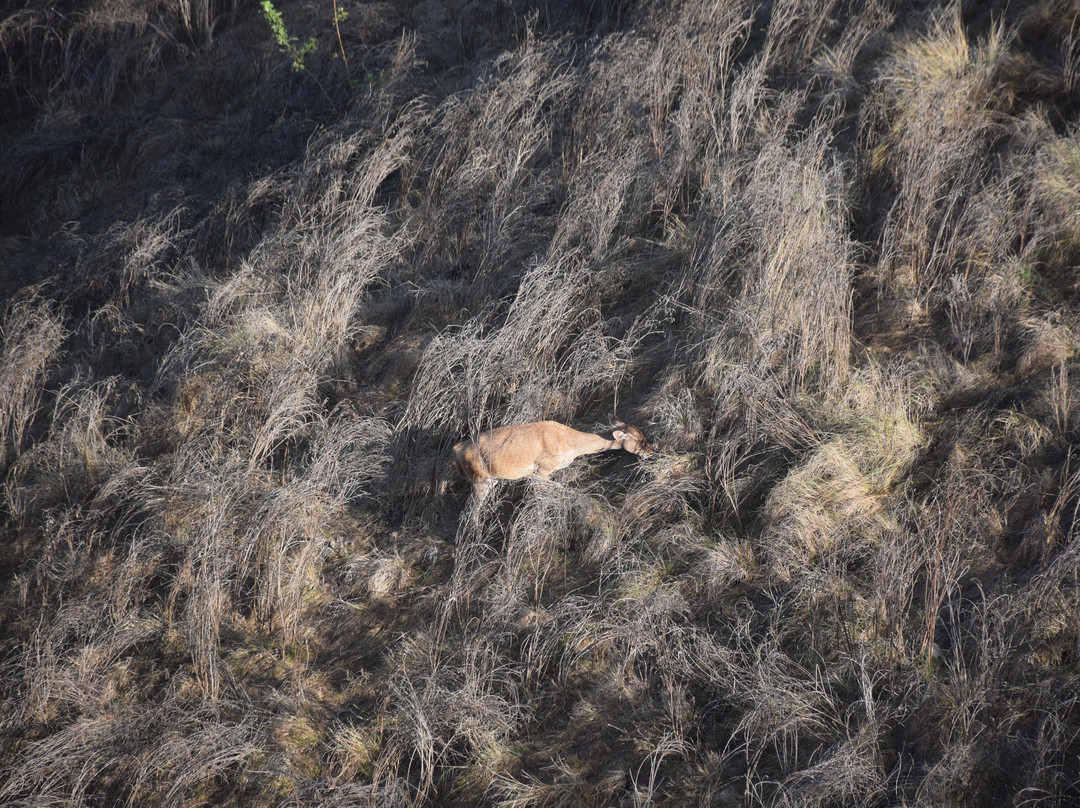 Padar Island-科莫多国家公园必去景点