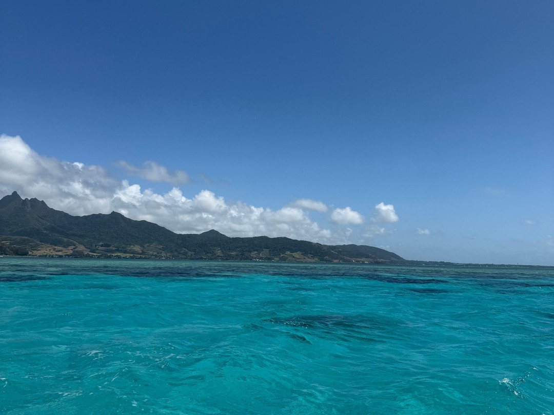 Belinda Boat Tour-贝尔马尔必去景点