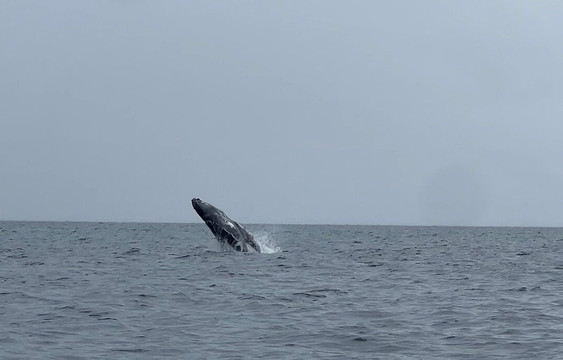 Panama Sunset POA-巴拿马城必去景点