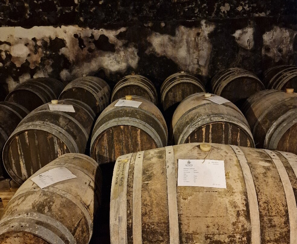 Cantina Giovanni Menti-Gambellara必去景点