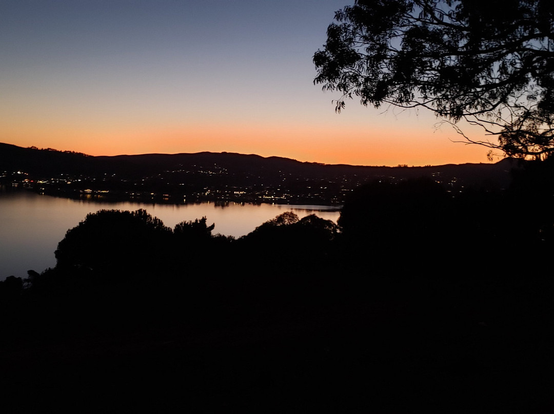Hippie Tree-Tiburon必去景点