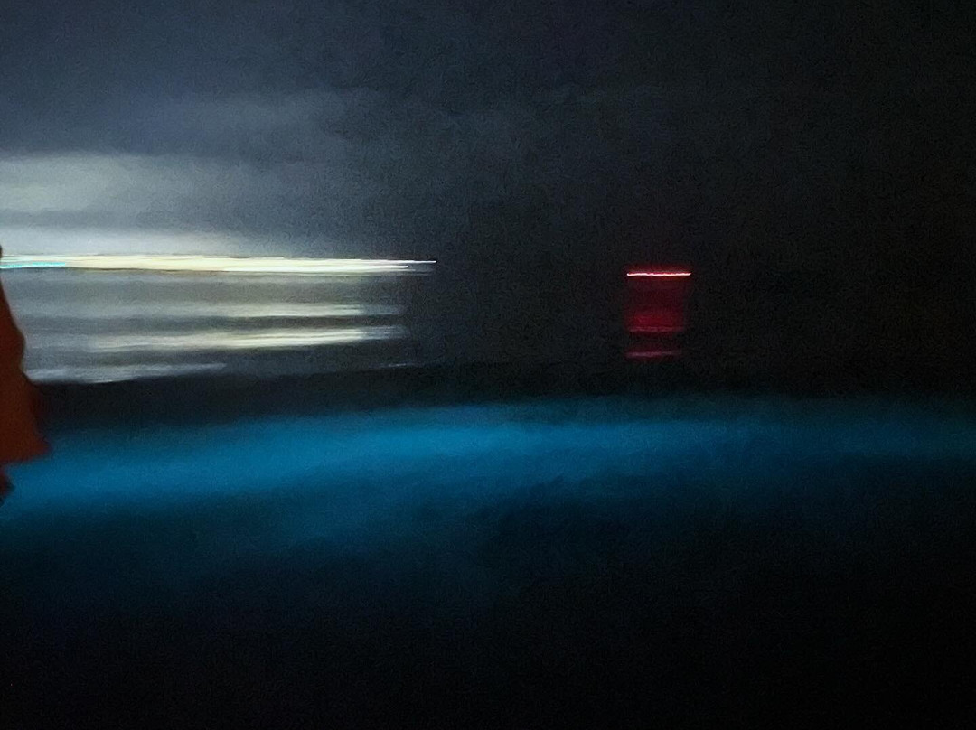Glistening Waters Luminous Lagoon Tour-法尔茅斯必去景点