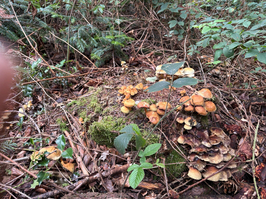 Prieuré Du Val Saint-benoît