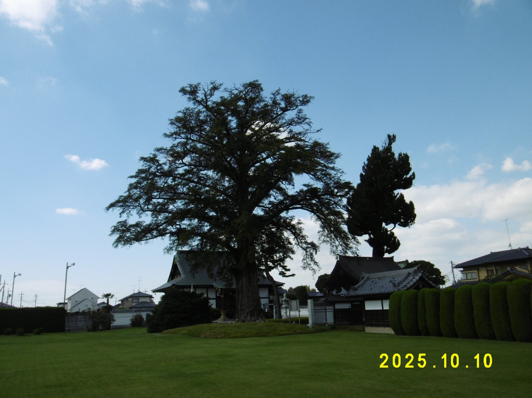 Shenguang Temple-邑乐町必去景点
