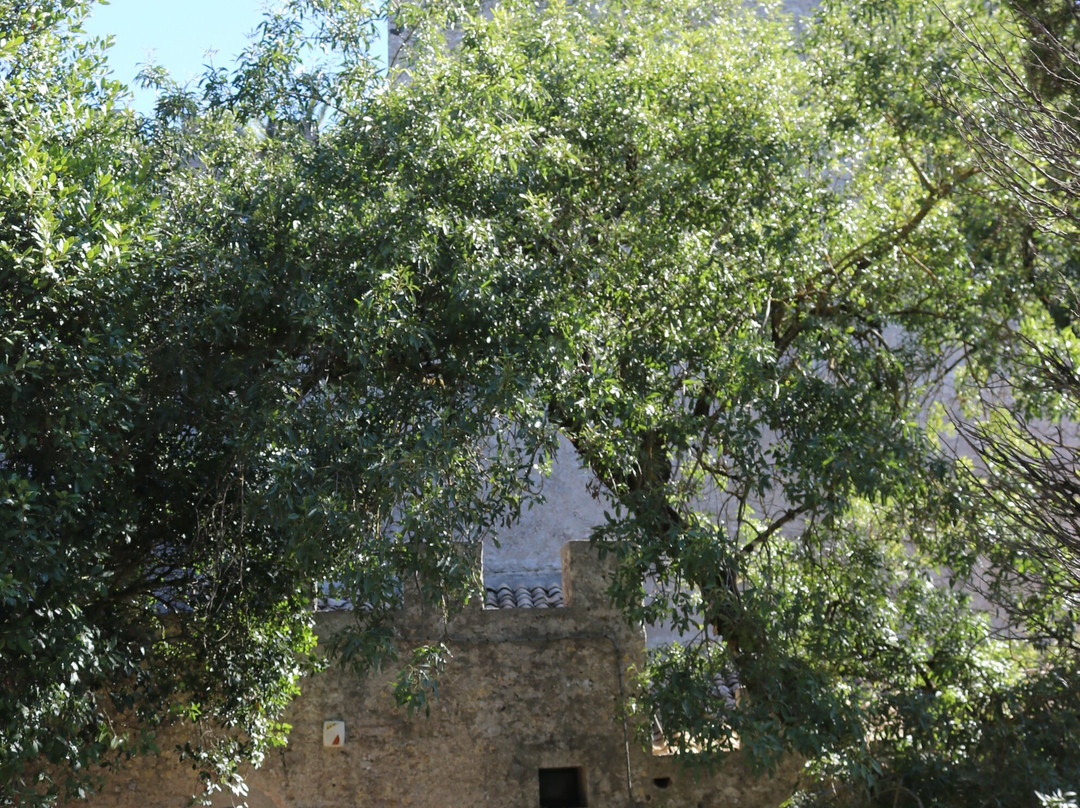 Giardini del Balio-埃里切必去景点