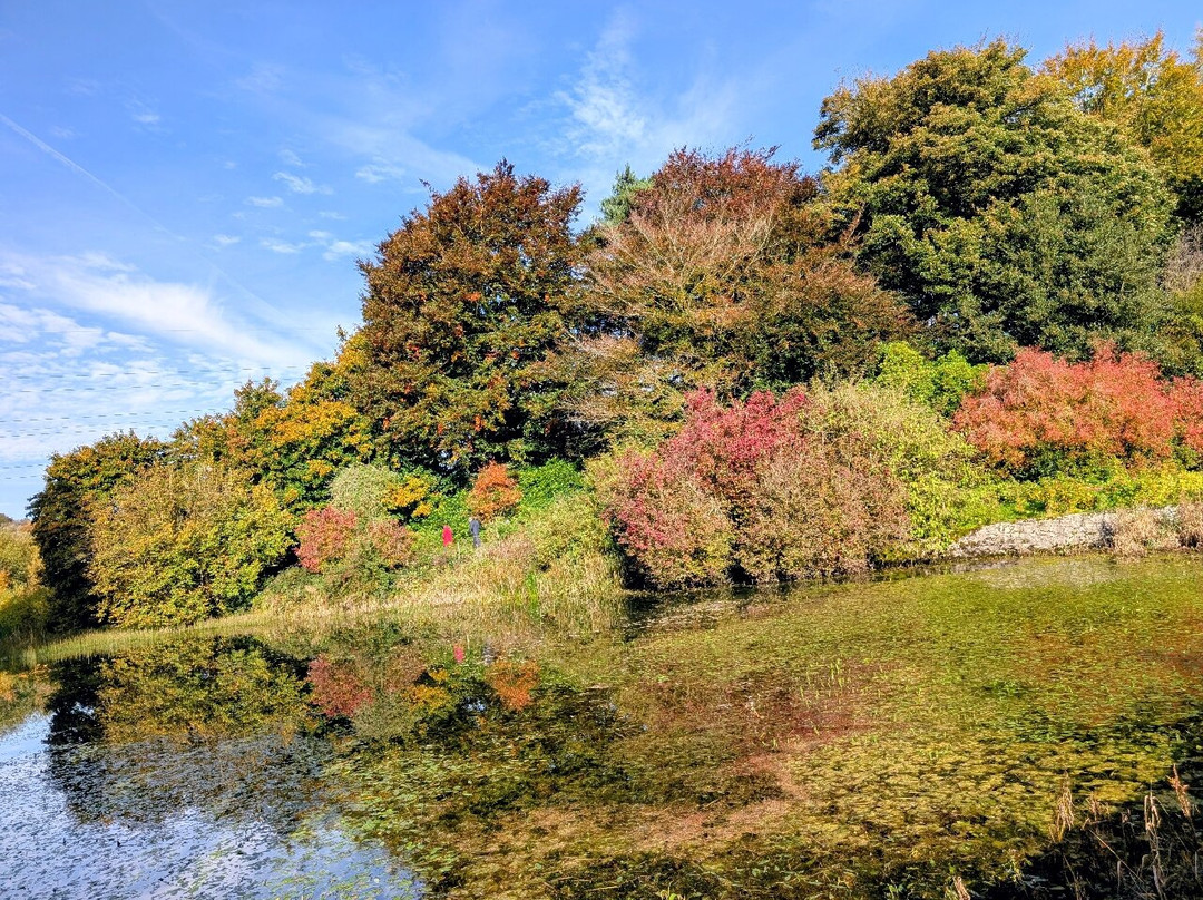 Sizergh Castle-肯德尔必去景点