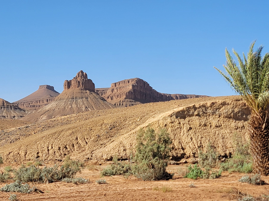 Desert Foum Zguid-Foum Zguid必去景点