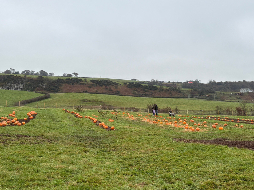Craigbank Farm-Kilmarnock必去景点