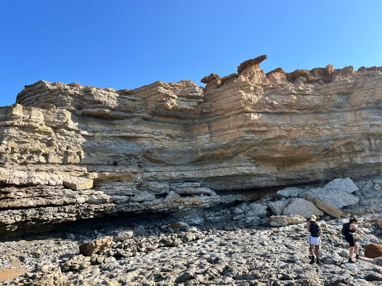 Badger Tours-塞新布拉必去景点