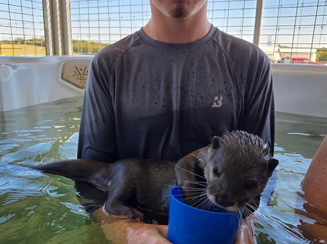 Blue Hills Ranch-McGregor必去景点