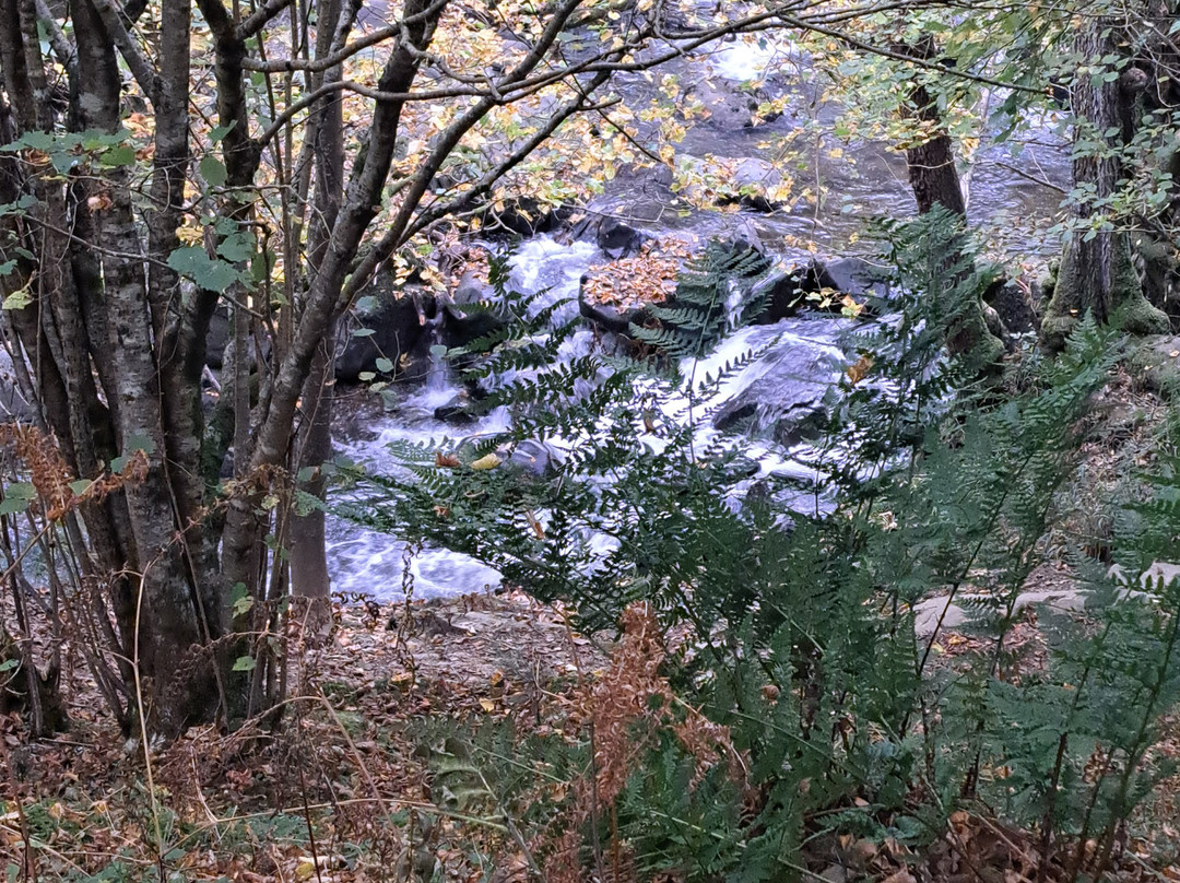 Aira Force Waterfall-彭里斯必去景点