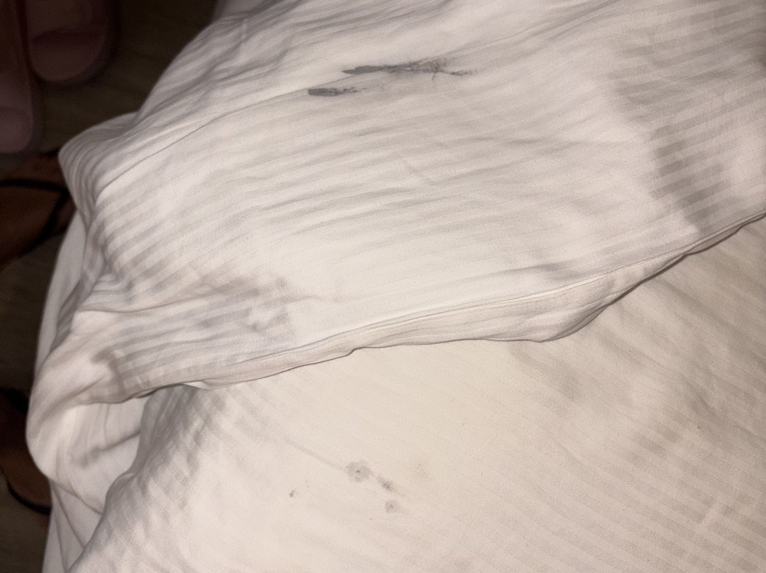 Seven Seas Jolie Bay主图