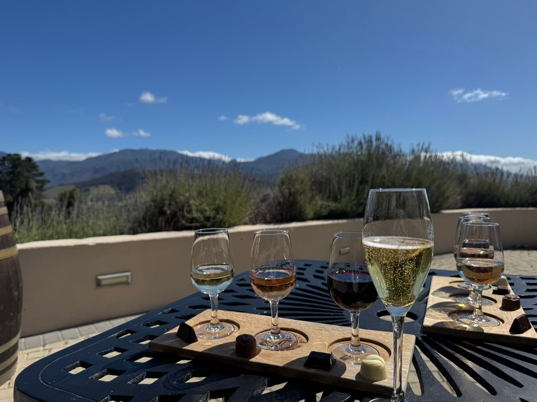 Franschhoek Wine Tram-法兰舒克必去景点