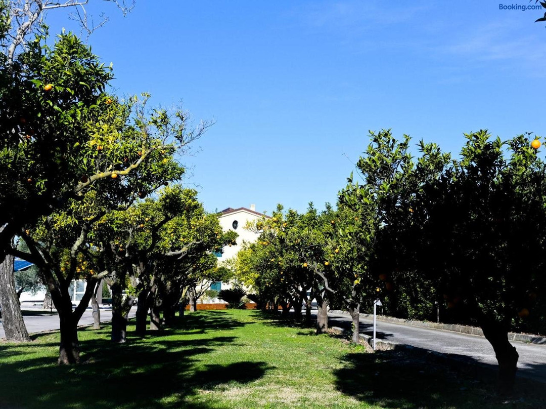 DON PEPPE ROOMS : Villaggio Green