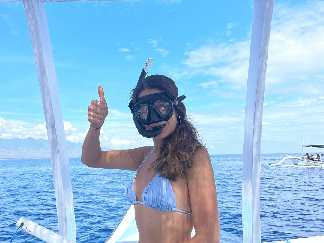 Dolphin Lovina tours-罗威那海滩必去景点