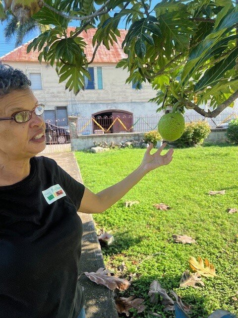 Way Back When, Black River Heritage Tour-Black River必去景点