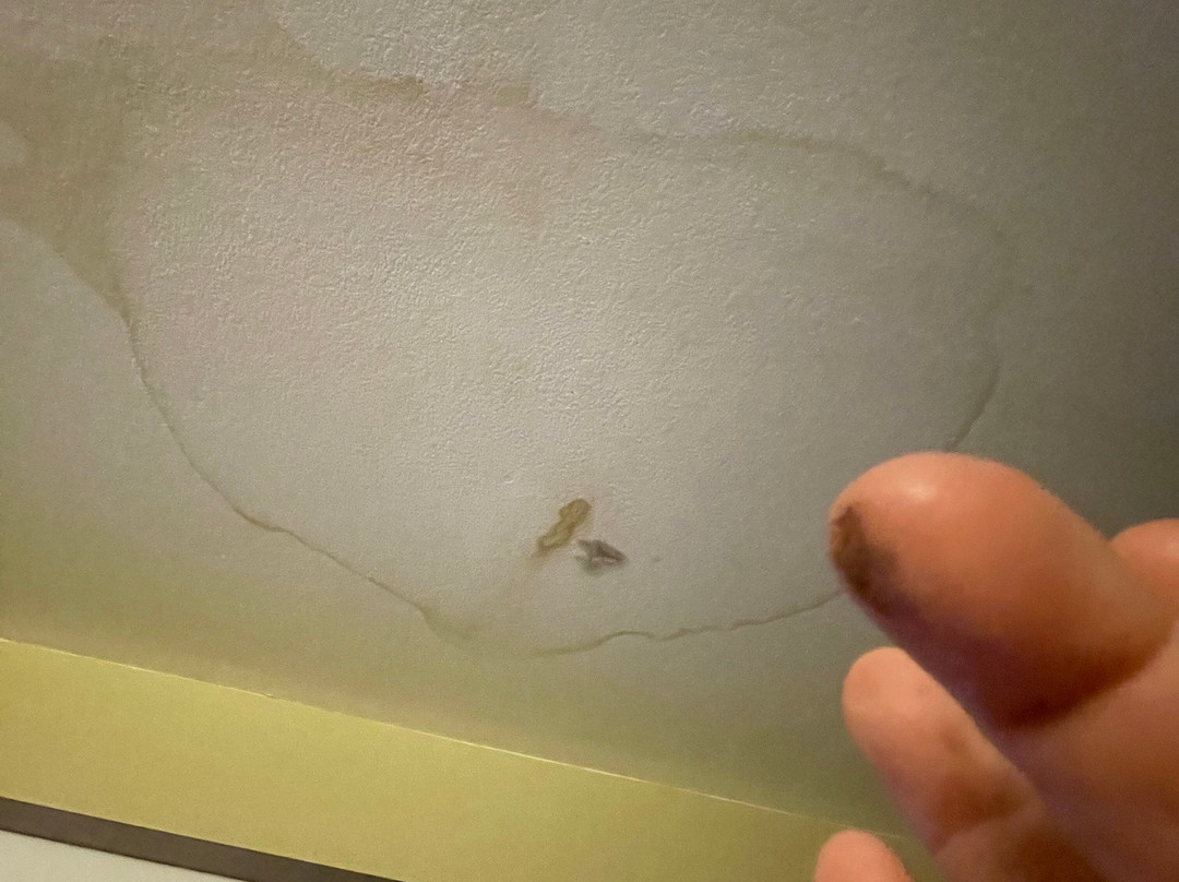 Microtel Inn & Suites By Wyndham Shelbyville主图