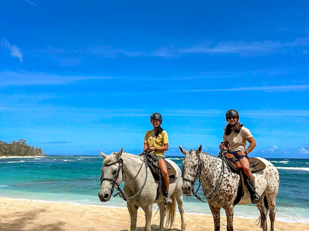 Hawaii Polo Trail Rides-瓦亚禄必去景点