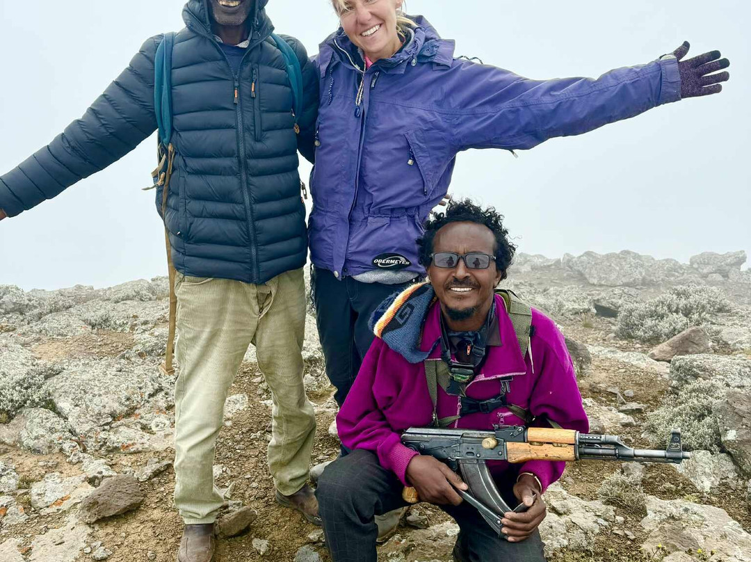 David Simien Tours-Debark必去景点