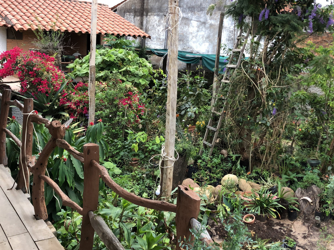 Vivero Sarita Hostal
