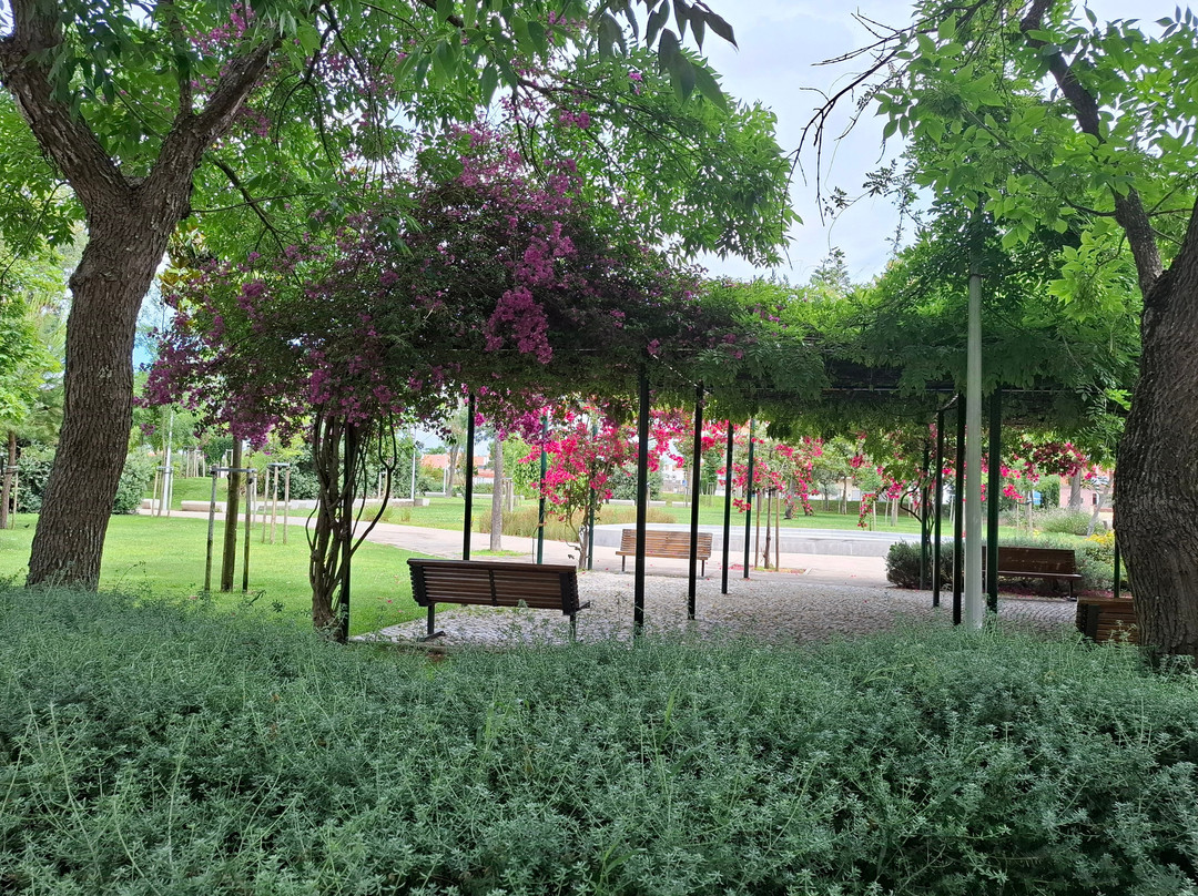 Parque Ruy Luis Gomes