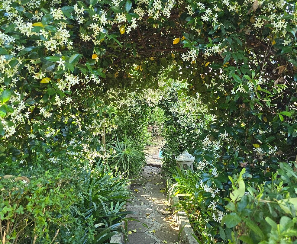 Hobbit Boutique Hotel主图