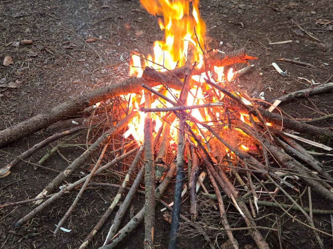 Footsteps of Discovery-纽奎必去景点