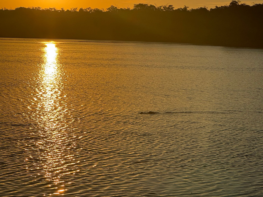 Everglades City Fishing Charters-大沼泽地必去景点