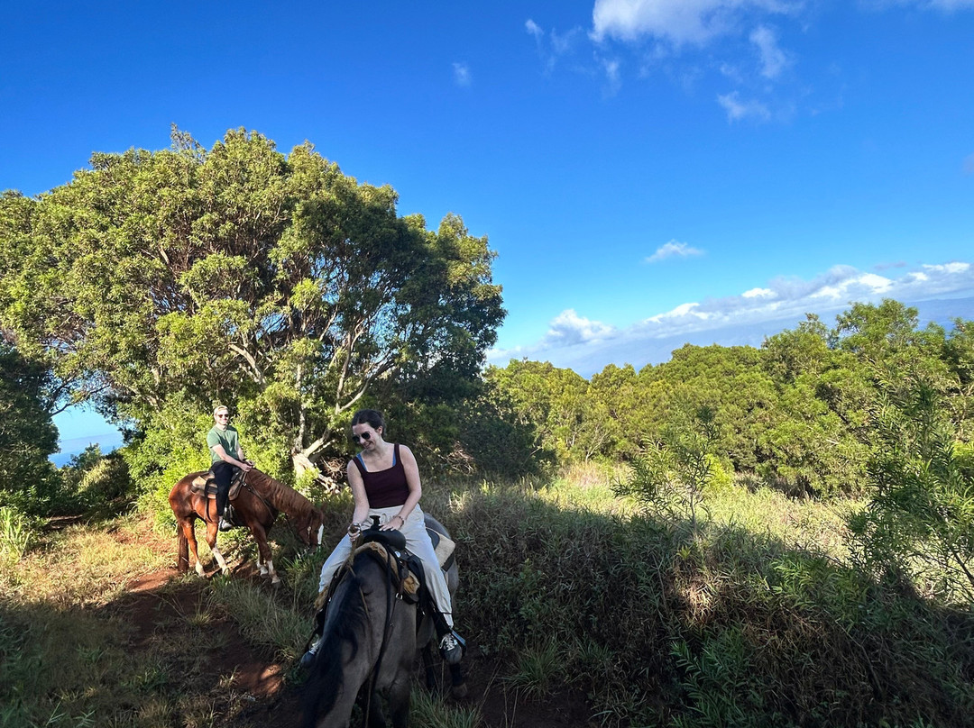 Ironwood Ranch-Napili-Honokowai必去景点
