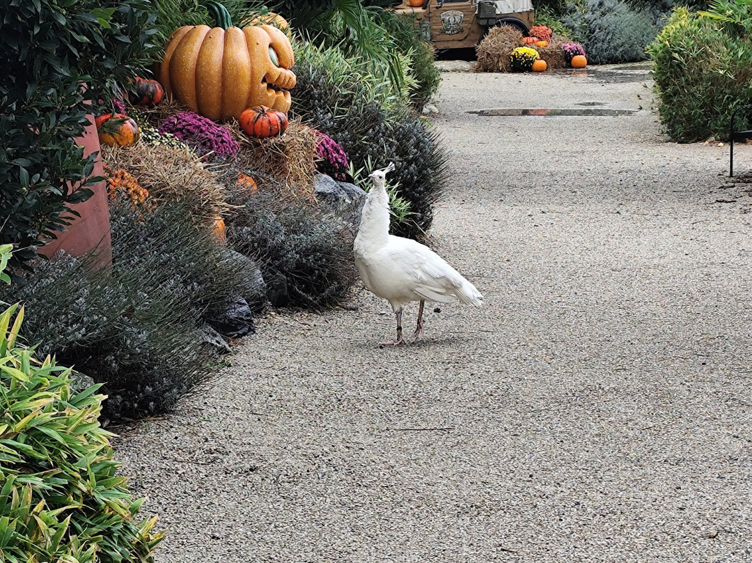 Jungle City-图尔奈必去景点