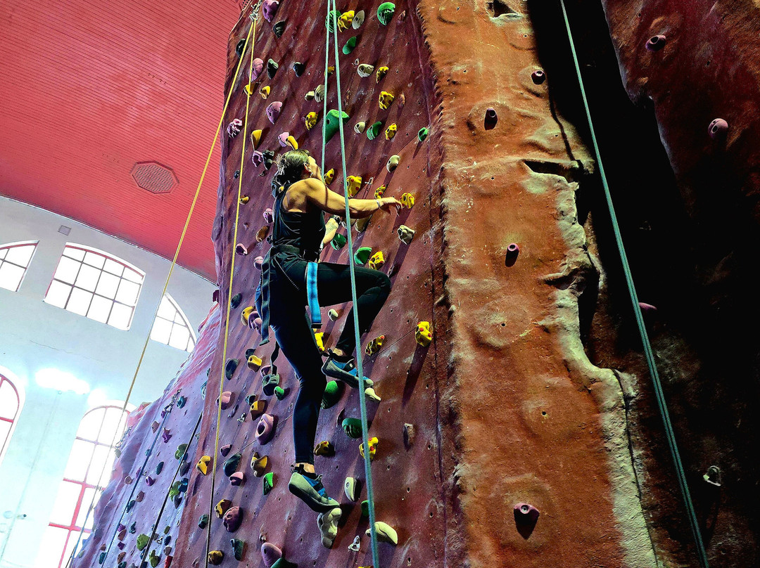 Awesome Walls Climbing Centre Stockport-斯托克波特必去景点