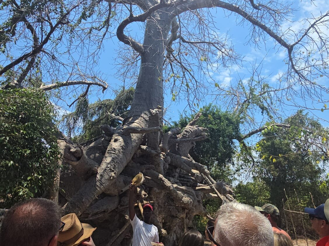 Gigi di Zanzibar-桑给巴尔岛必去景点