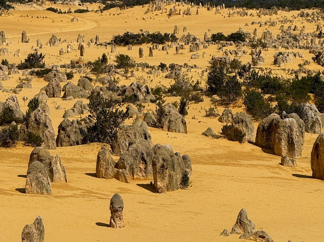 The Pinnacles Desert-Nambung必去景点