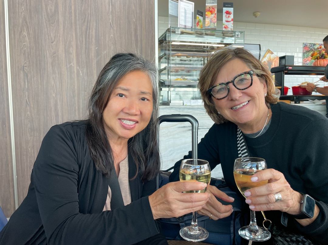 Plaza Premium Lounge Heathrow T5 Departures-伦敦必去景点