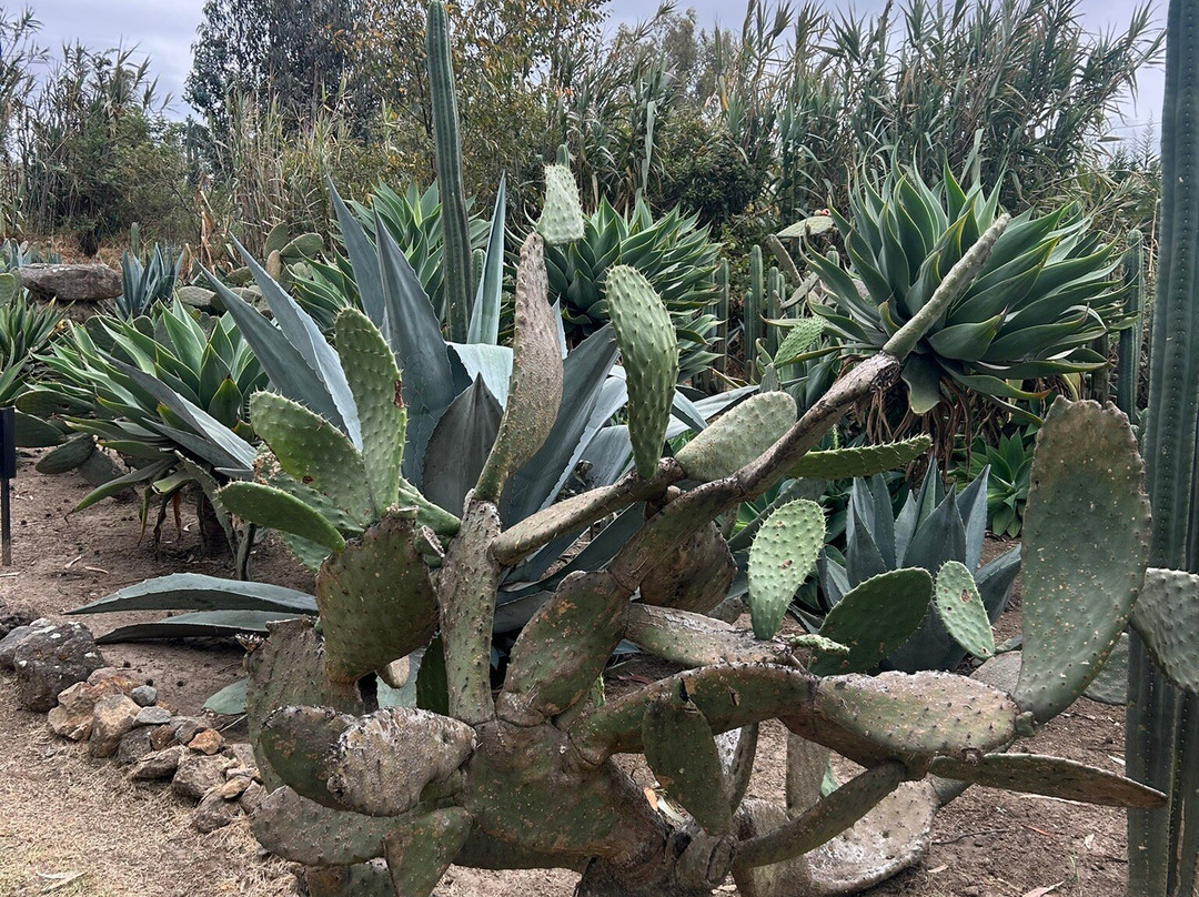 Quitsato Sundial-Cayambe必去景点