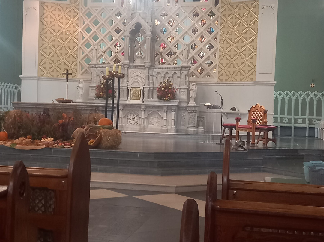 Cathedral of the Assumption, Carlow-Carlow必去景点