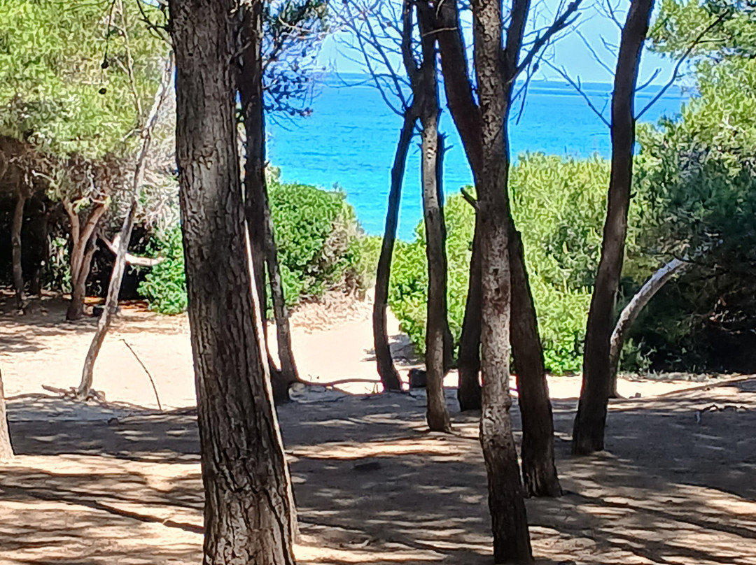 Lido Punta della Suina-加里波利必去景点
