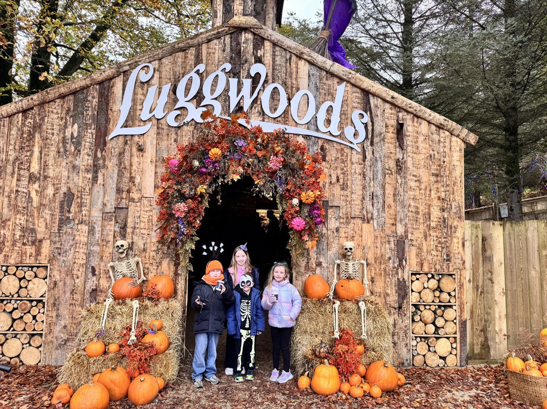 Luggwoods-Saggart必去景点