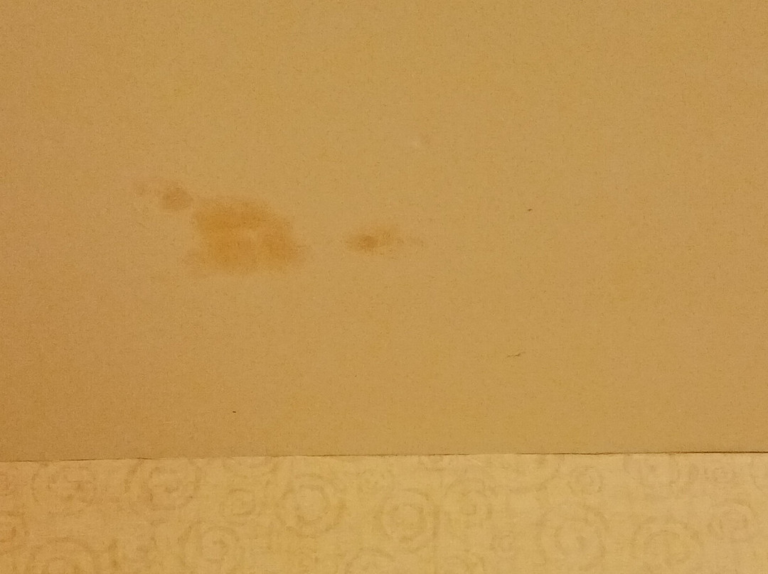 Best Western Plus Revere Inn & Suites主图