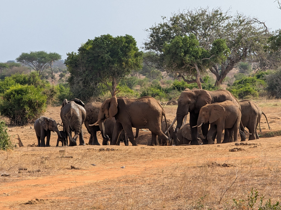 Oranje Safari-迪亚尼必去景点