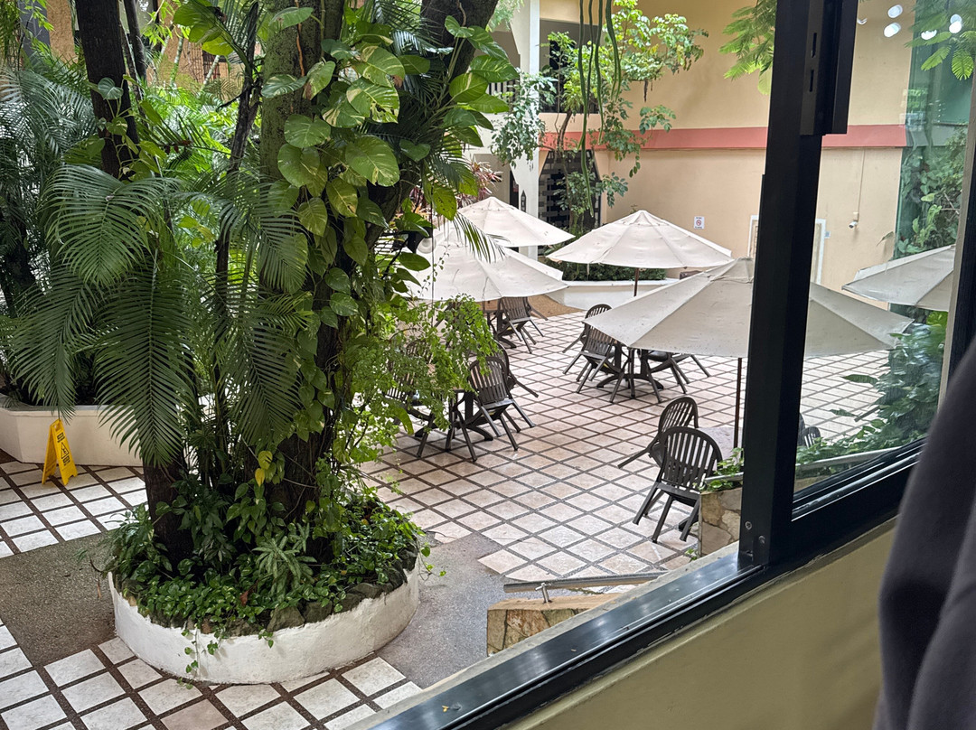 Maya Tulipanes Express主图