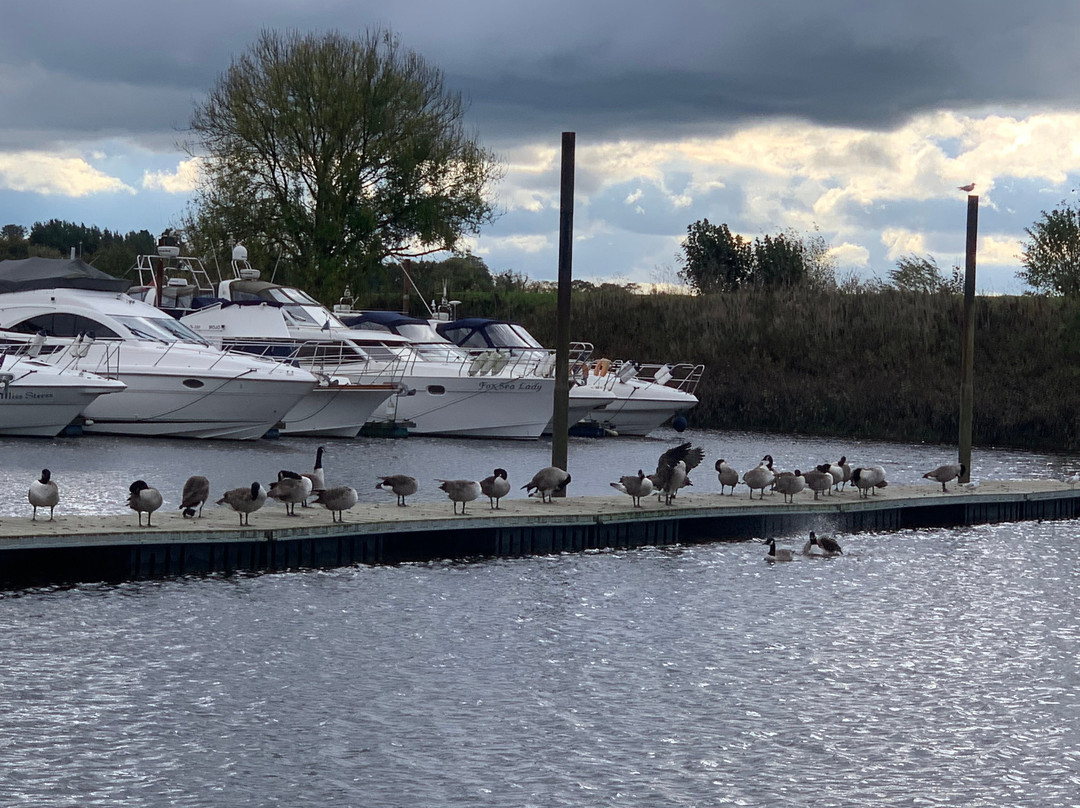 York Marina-约克必去景点