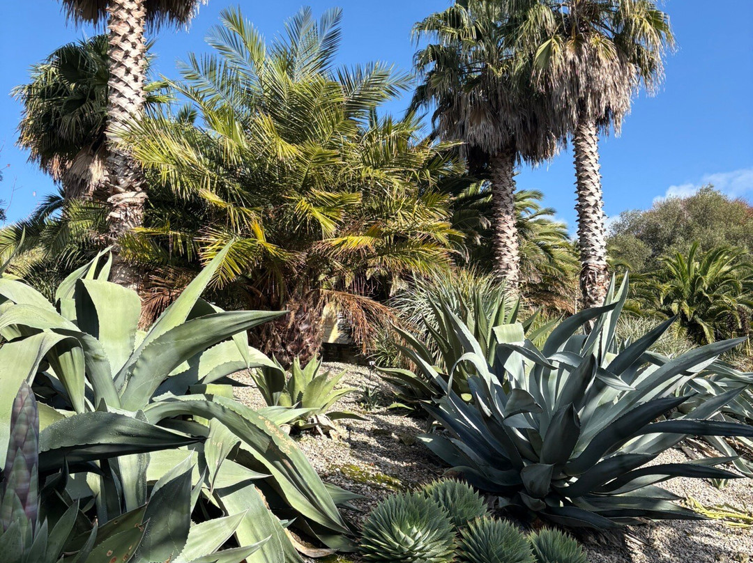 Ventnor Botanic Garden-文特诺必去景点
