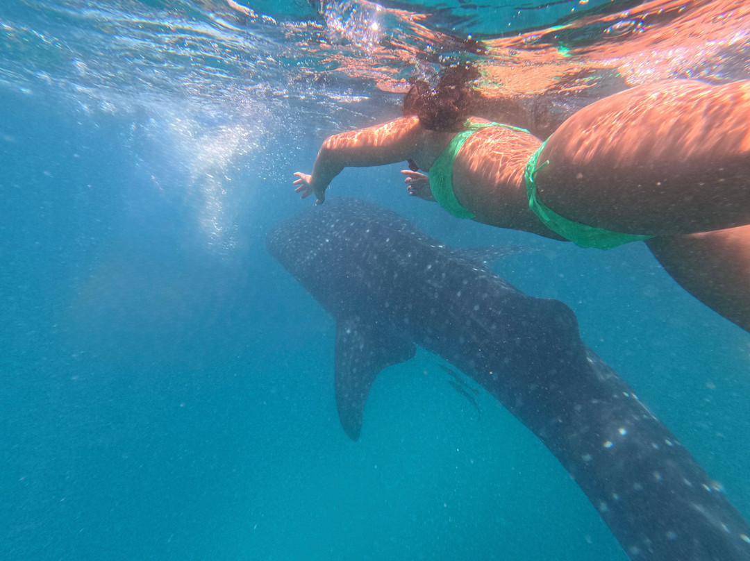 Aloha Ventures - Seychelles-贝隆布尔必去景点