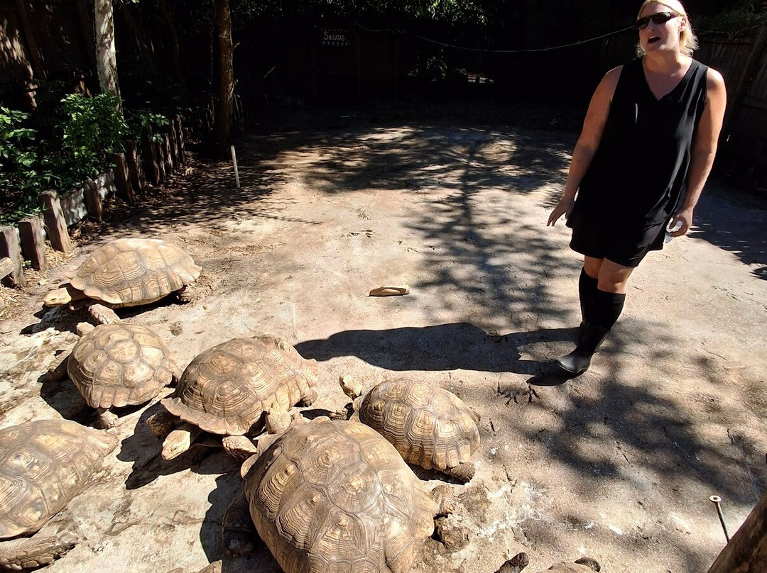 Croc Encounters-坦帕必去景点